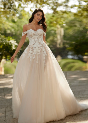 Delicate Lace Tulle Floral Fairytale Wedding Dress